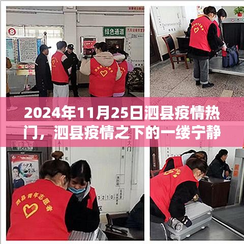 泗縣疫情之下的自然之旅，心靈覺(jué)醒與寧?kù)o的庇護(hù)所