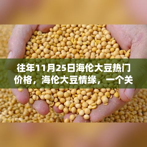 海倫大豆情緣，友情與溫馨的11月25日日常故事熱門價(jià)格揭秘