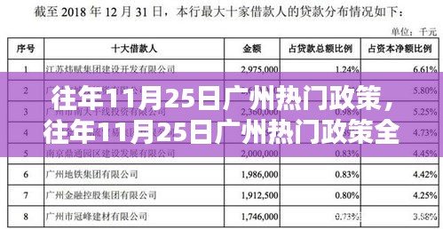 往年11月25日廣州熱門政策詳解，特性、體驗、競品對比及用戶群體全面分析