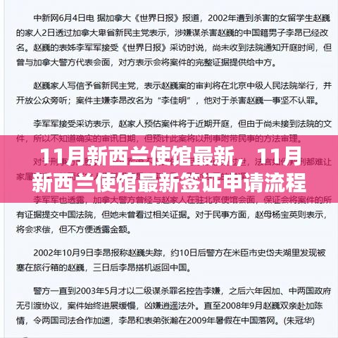 最新指南，11月新西蘭使館簽證申請流程全解析