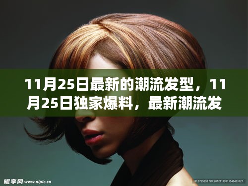 獨家爆料，最新潮流發型大解密，引領你的時尚新風尚（11月25日更新）
