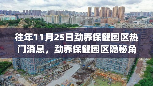 勐養保健園區隱秘寶藏小店揭秘，探尋往年11月25日的獨特魅力之旅