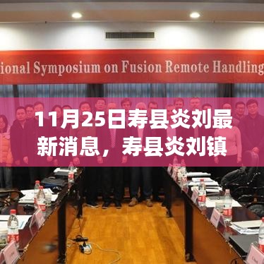 11月25日壽縣炎劉鎮(zhèn)最新消息全攻略，獲取最新更新信息