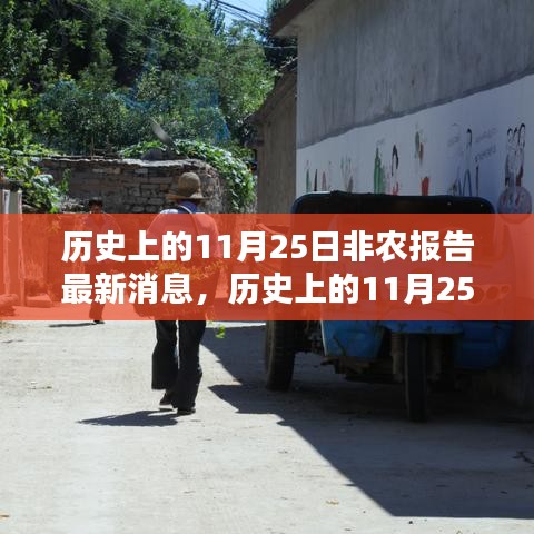 歷史上的11月25日非農報告深度解析，最新消息及其深遠影響