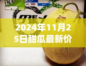 甜瓜新價格背后的故事，變化的力量與自信的成就（2024年11月25日）