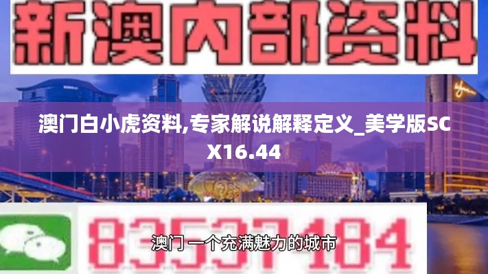 澳門白小虎資料,專家解說解釋定義_美學(xué)版SCX16.44