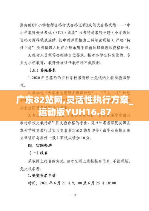 廣東82站網,靈活性執行方案_運動版YUH16.87