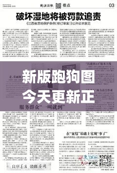 新版跑狗圖今天更新正版,社會責(zé)任法案實(shí)施_薪火相傳版FFU16.15