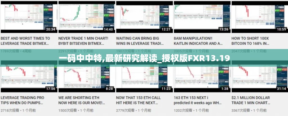 一碼中中特,最新研究解讀_授權版FXR13.19