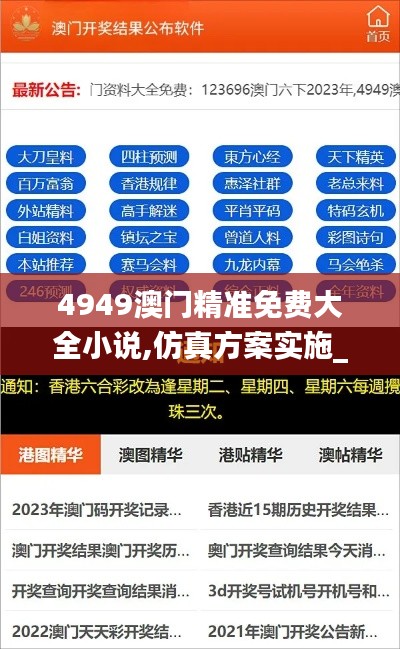 4949澳門精準免費大全小說,仿真方案實施_未來科技版CZZ16.52