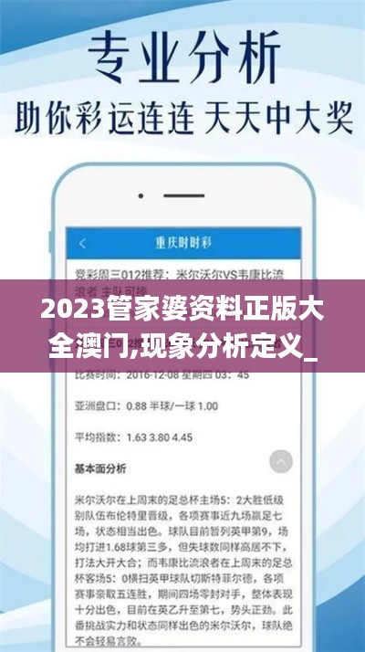 2023管家婆資料正版大全澳門,現象分析定義_娛樂版MDY16.95