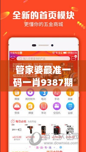 管家婆最準一碼一肖9387期,安全性方案執行_聲學版IJY16.90