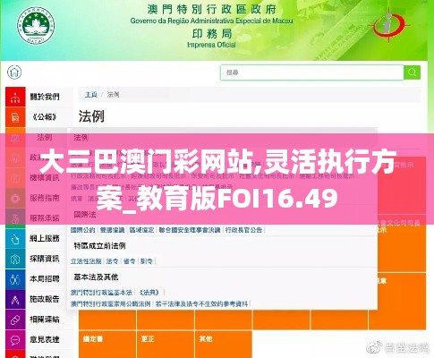 大三巴澳門彩網站,靈活執行方案_教育版FOI16.49