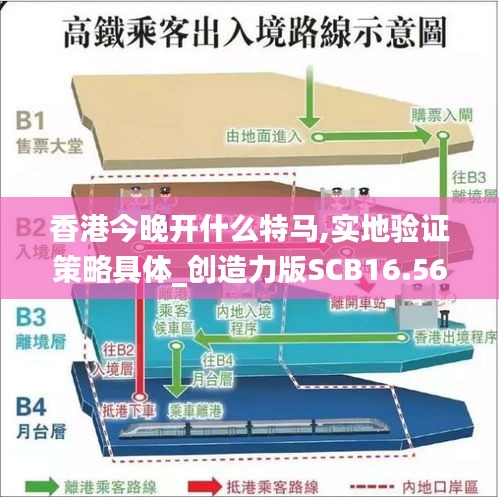 香港今晚開什么特馬,實地驗證策略具體_創造力版SCB16.56