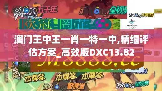 澳門王中王一肖一特一中,精細評估方案_高效版DXC13.82