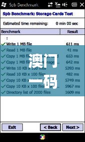 澳門一碼一碼100準確,釋意性描述解_鉆石版HGV16.2