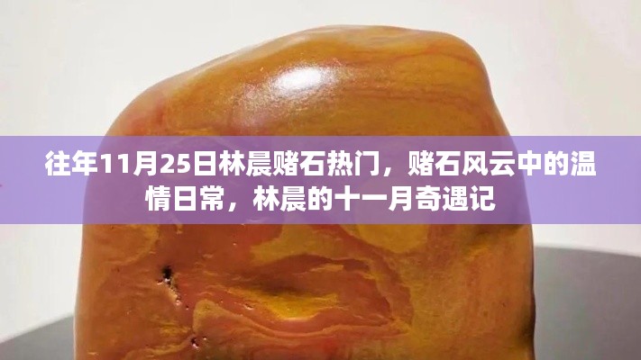 林晨賭石風(fēng)云，十一月奇遇與溫情日常