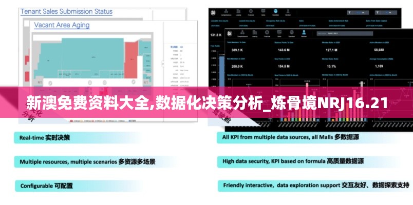 新澳免費資料大全,數(shù)據(jù)化決策分析_煉骨境NRJ16.21