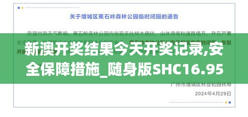 新澳開獎結(jié)果今天開獎記錄,安全保障措施_隨身版SHC16.95