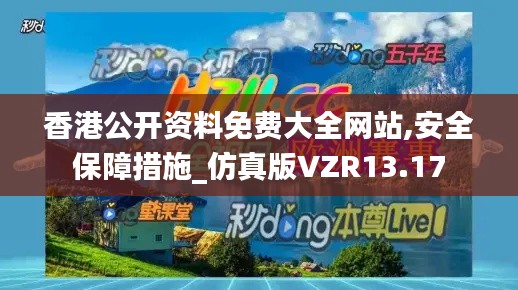 香港公開資料免費大全網站,安全保障措施_仿真版VZR13.17