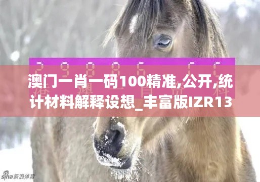 澳門一肖一碼100精準,公開,統計材料解釋設想_豐富版IZR13.6