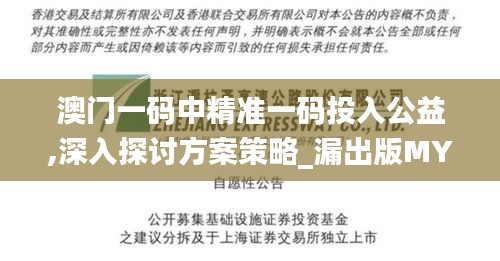 澳門一碼中精準一碼投入公益,深入探討方案策略_漏出版MYY13.8
