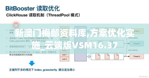 新澳門梅郎資料庫,方案優化實施_云端版VSM16.37