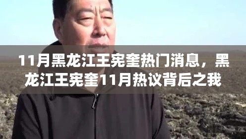 黑龍江王憲奎熱議背后的觀察與分析，11月最新消息解讀