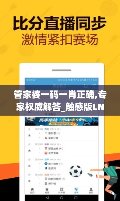 管家婆一碼一肖正確,專家權威解答_觸感版LNR13.40