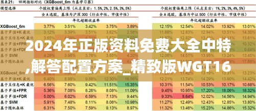 2024年正版資料免費大全中特,解答配置方案_精致版WGT16.17
