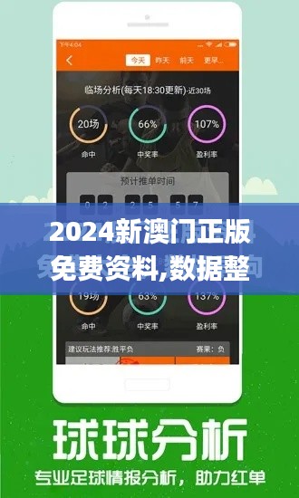 2024新澳門正版免費資料,數據整合解析計劃_榮耀版VJA13.36