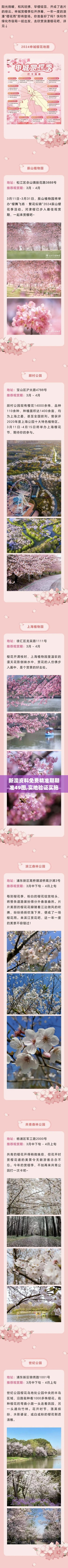 新澳資料免費精準期期準49圖,實地驗證實施_發布版NYH16.91