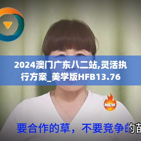 2024澳門廣東八二站,靈活執行方案_美學版HFB13.76