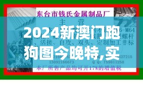 2024新澳門跑狗圖今晚特,實地驗證實施_移動版HPN13.70