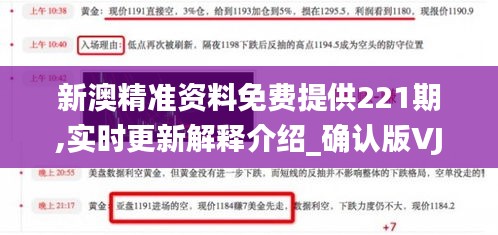 新澳精準資料免費提供221期,實時更新解釋介紹_確認版VJK16.7