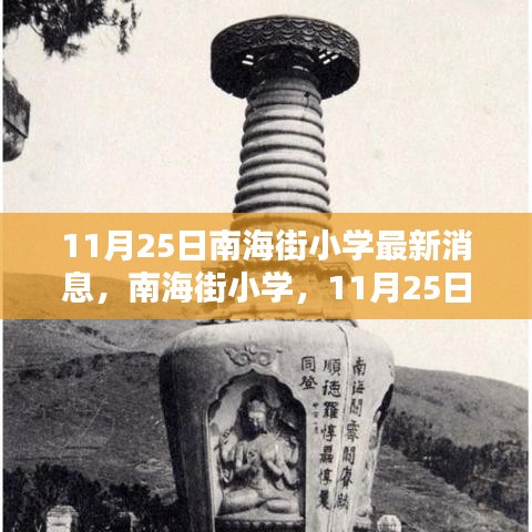 南海街小學最新消息與時代印記，11月25日報道速遞