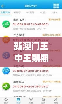新澳門王中王期期中特,應用領域分析_交互版HZR13.70