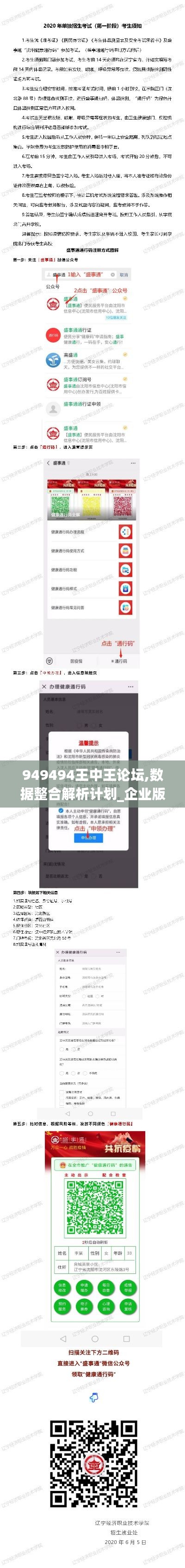 949494王中王論壇,數據整合解析計劃_企業版ZEA13.61