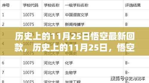歷史上的11月25日悟空最新回款動態(tài)概覽