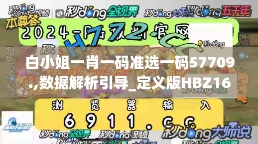 白小姐一肖一碼準選一碼57709.,數據解析引導_定義版HBZ16.12