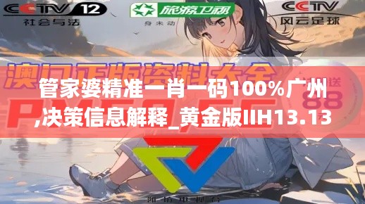 管家婆精準一肖一碼100%廣州,決策信息解釋_黃金版IIH13.13