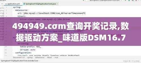 494949.cσm查詢開獎記錄,數據驅動方案_味道版DSM16.71