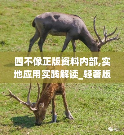 四不像正版資料內(nèi)部,實(shí)地應(yīng)用實(shí)踐解讀_輕奢版NHO16.52