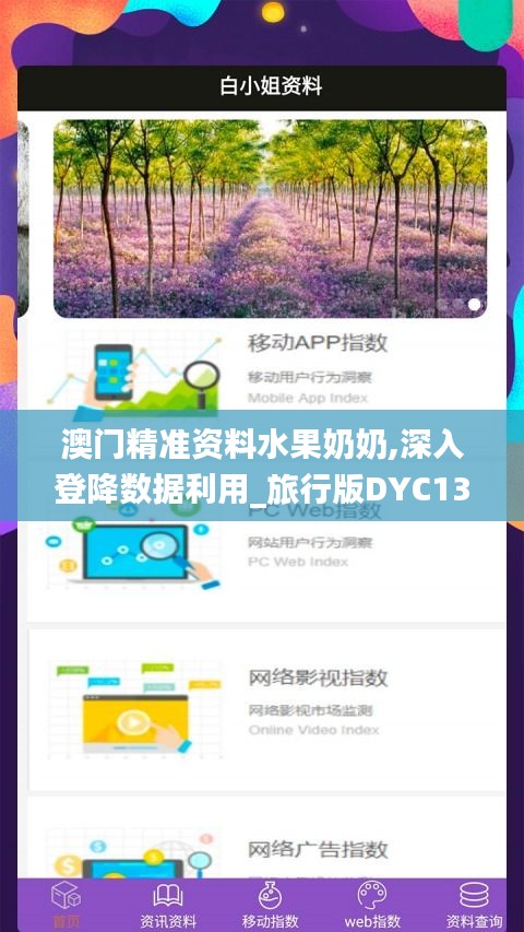 澳門精準(zhǔn)資料水果奶奶,深入登降數(shù)據(jù)利用_旅行版DYC13.67