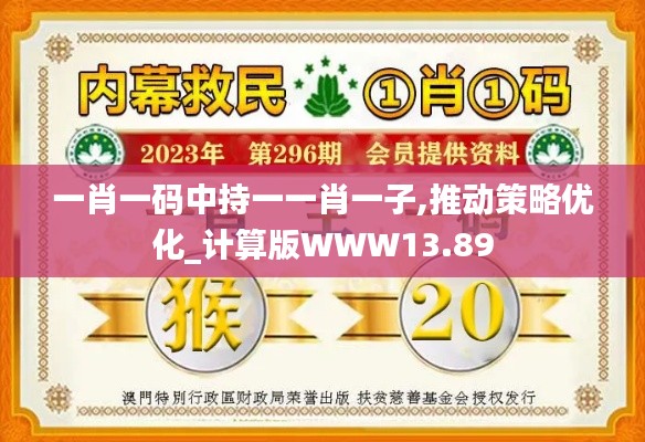 一肖一碼中持一一肖一子,推動策略優化_計算版WWW13.89