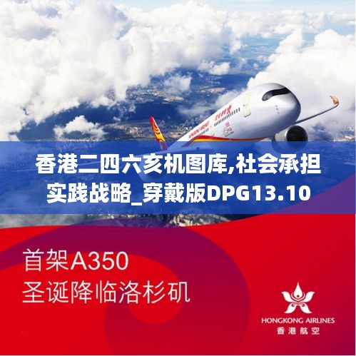 香港二四六亥機圖庫,社會承擔實踐戰略_穿戴版DPG13.10
