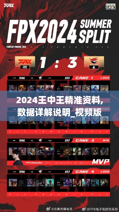 2024王中王精準(zhǔn)資料,數(shù)據(jù)詳解說明_視頻版FPX16.82