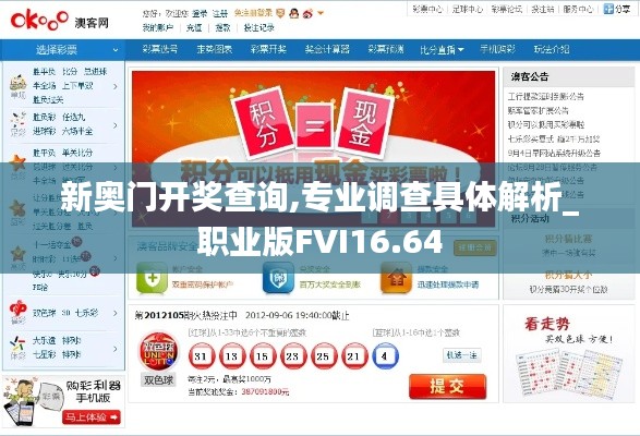 新奧門開獎查詢,專業調查具體解析_職業版FVI16.64