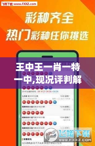 王中王一肖一特一中,現況評判解釋說法_鉆石版ZVJ16.9