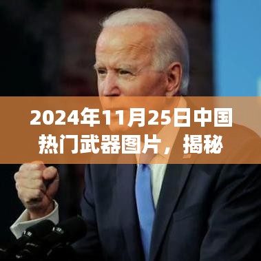 揭秘，中國頂尖武器圖譜震撼亮相，引領全球軍事變革新篇章（2024年11月25日）